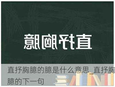 直抒胸臆的臆是什么意思_直抒胸臆的下一句