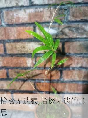 拾掇无遗狼,拾掇无遗的意思