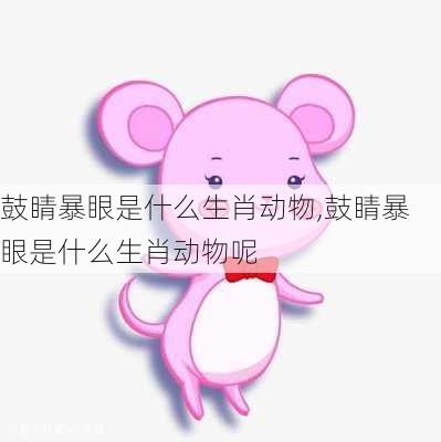 鼓睛暴眼是什么生肖动物,鼓睛暴眼是什么生肖动物呢