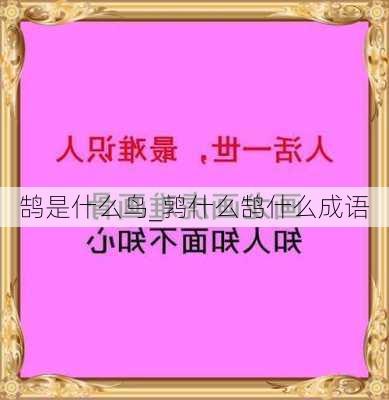 鹄是什么鸟_鹑什么鹄什么成语