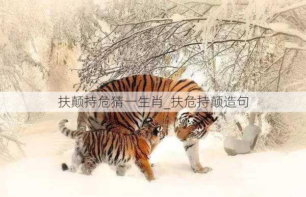 扶颠持危猜一生肖_扶危持颠造句