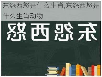 东怨西怒是什么生肖,东怨西怒是什么生肖动物