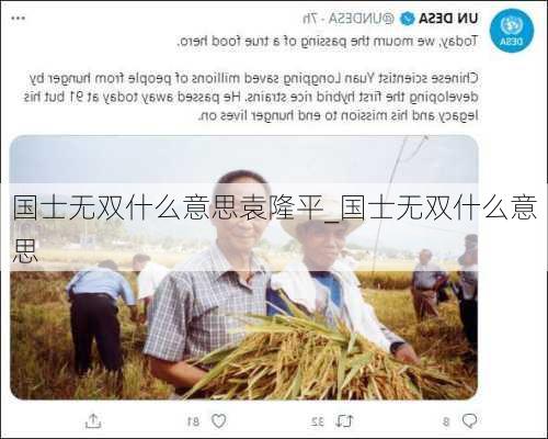 国士无双什么意思袁隆平_国士无双什么意思