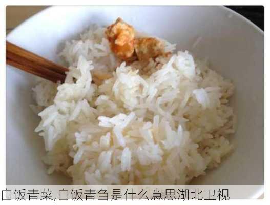 白饭青菜,白饭青刍是什么意思湖北卫视