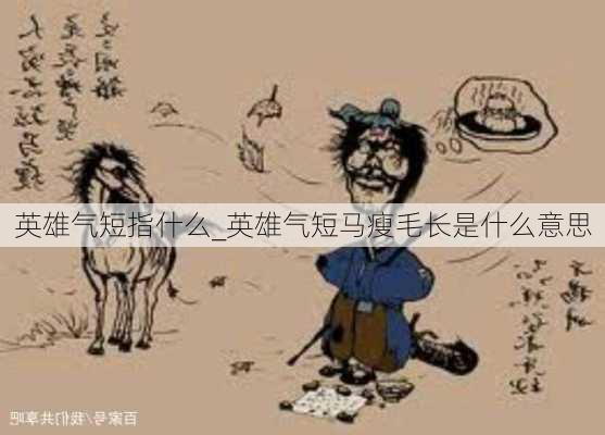 英雄气短指什么_英雄气短马瘦毛长是什么意思