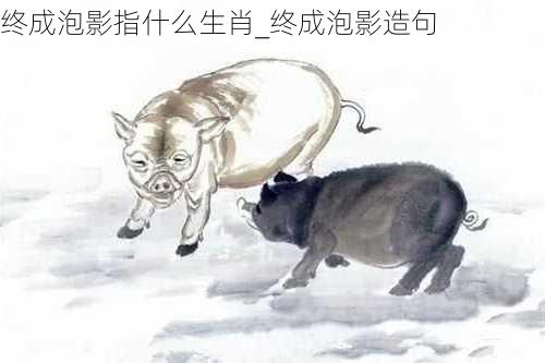 终成泡影指什么生肖_终成泡影造句