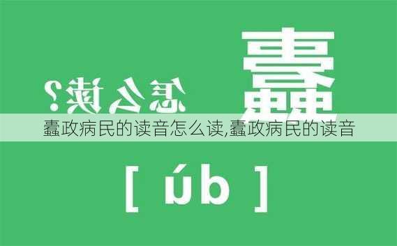 蠹政病民的读音怎么读,蠹政病民的读音