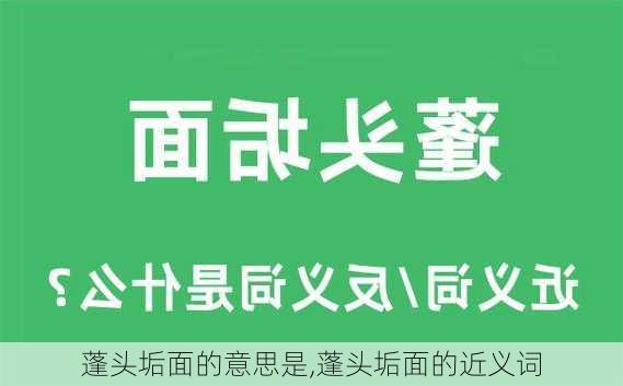 蓬头垢面的意思是,蓬头垢面的近义词