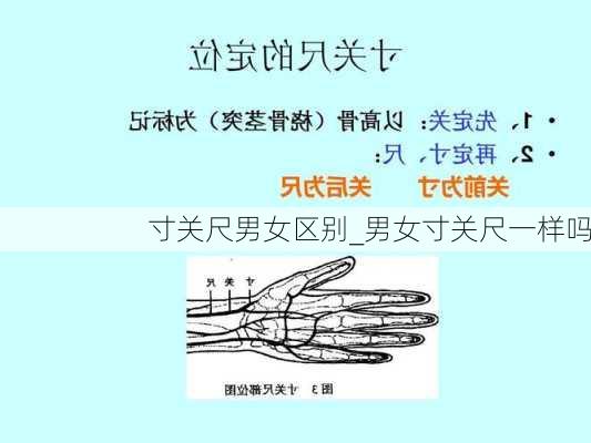 寸关尺男女区别_男女寸关尺一样吗