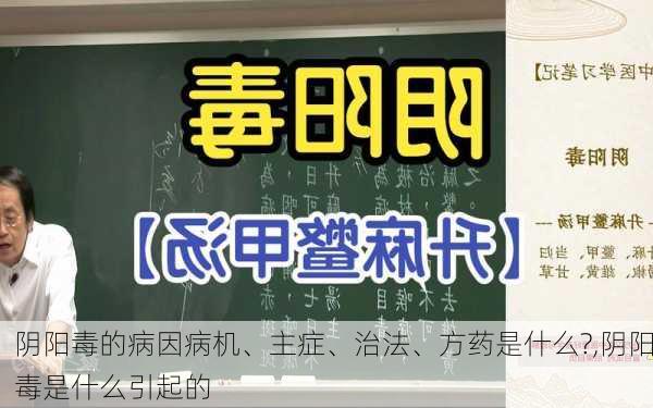 阴阳毒的病因病机、主症、治法、方药是什么?,阴阳毒是什么引起的