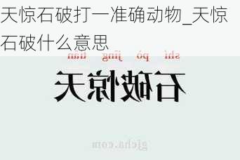 天惊石破打一准确动物_天惊石破什么意思