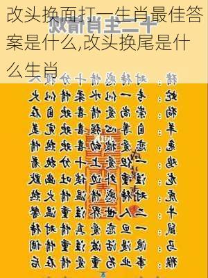 改头换面打一生肖最佳答案是什么,改头换尾是什么生肖