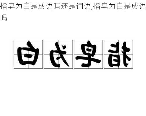 指皂为白是成语吗还是词语,指皂为白是成语吗