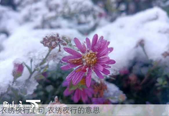 衣绣夜行造句,衣绣夜行的意思