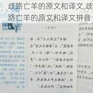 歧路亡羊的原文和译文,歧路亡羊的原文和译文拼音