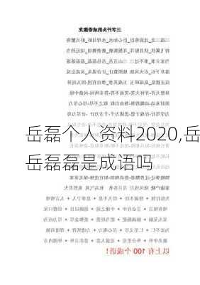 岳磊个人资料2020,岳岳磊磊是成语吗