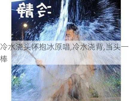 冷水浇头怀抱冰原唱,冷水浇背,当头一棒