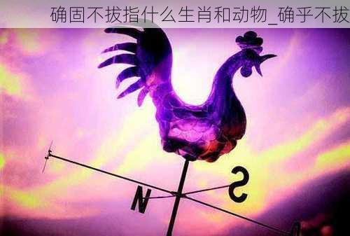 确固不拔指什么生肖和动物_确乎不拔