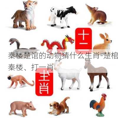 秦楼楚馆的动物猜什么生肖-楚棺秦楼、打一肖