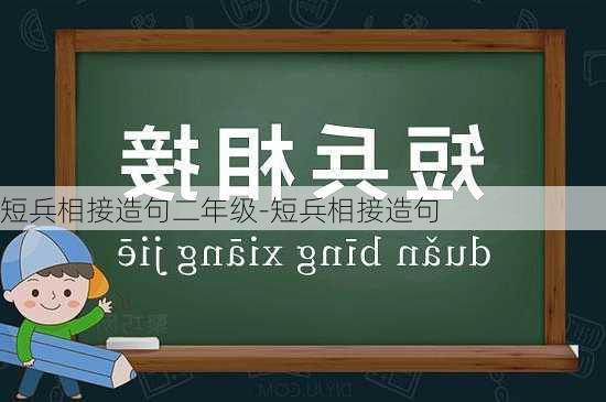 短兵相接造句二年级-短兵相接造句